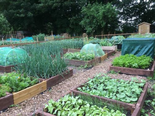 GARDEN PLOTS | News | Richard Dumbreck Singleton Trust